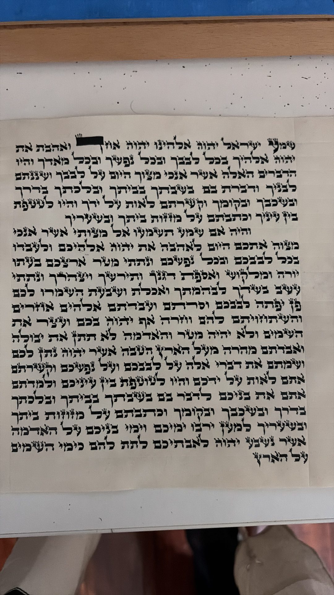 Full mezuzah klaf opened flat on a sofer's inspection board during a professional mezuzah checking in Miami