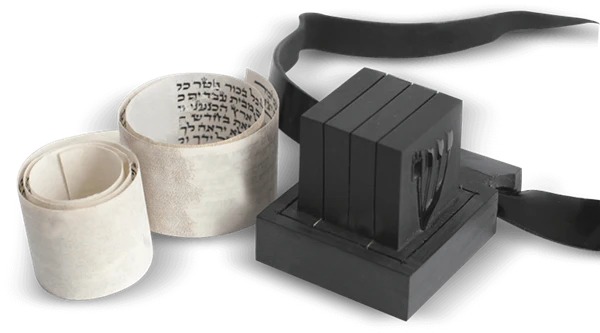 Tefillin Checking